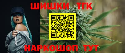 Альфа ПВП Малгобек