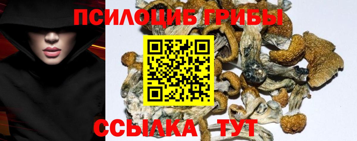 Псилоцибиновые грибы MAGIC MUSHROOMS  Вход с VPN  Верхняя Салда  Псилоцибиновые грибы мицелий 