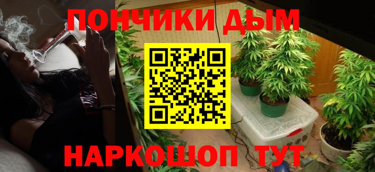 Бошки Шишки сатива  МАРИХУАНА план  Вход с VPN  Верхняя Салда  Каннабис сатива  Шишки марихуана гибрид 